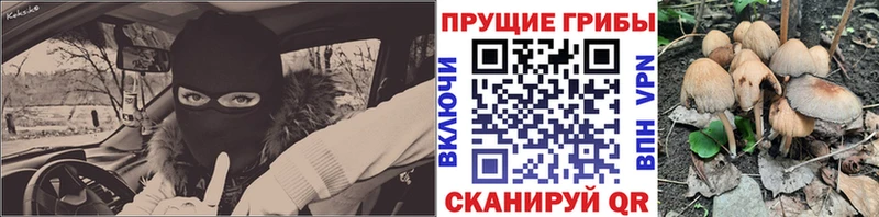 kraken сайт  Железногорск  darknet официальный сайт  Галлюциногенные грибы GOLDEN TEACHER 